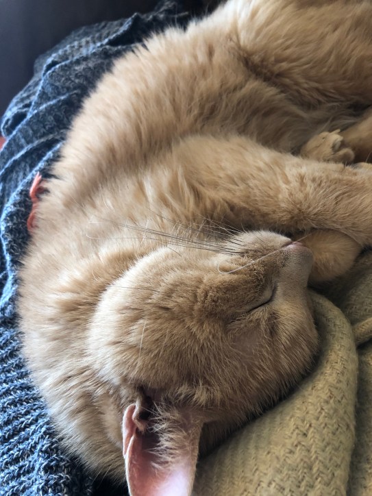 6VbC6xX1S6uOli%4jvOxEw