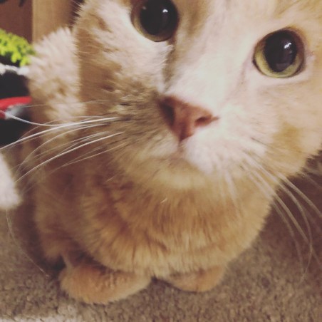 E2A8F7E6-0A14-42B0-9561-C545E0E88695